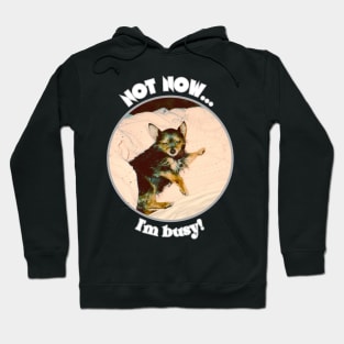 Not Now I'm Busy Hoodie